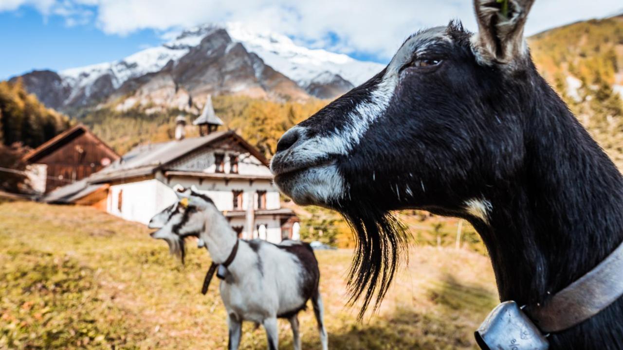 Hof Zuort Hotell Sent Exteriör bild